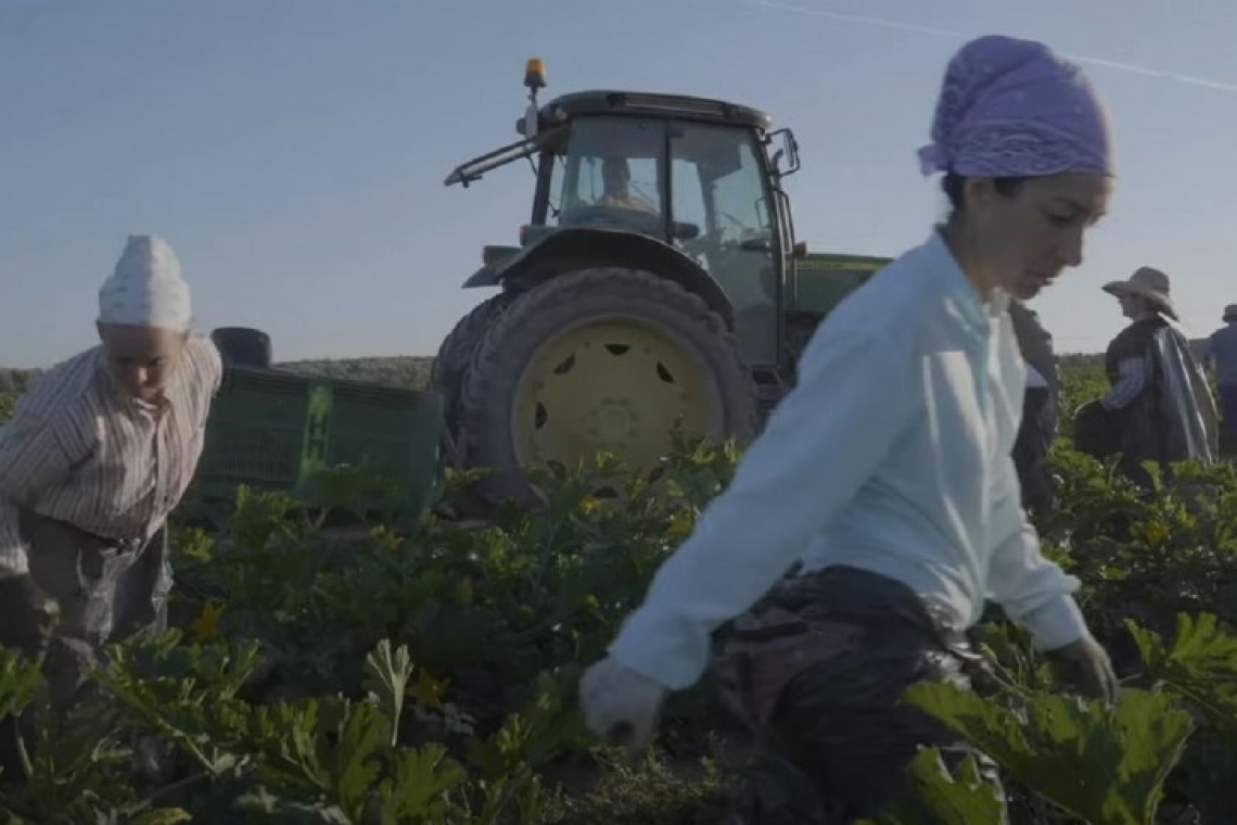 Los nuevos senoritos del campo